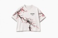 Sakura Eclipse   桜鯉